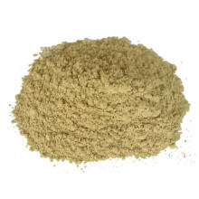 Dehydrated Air Dried Ginger Powder